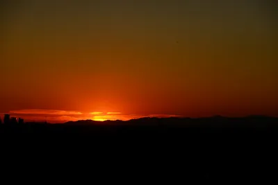 DSC_1486 (Large).JPG